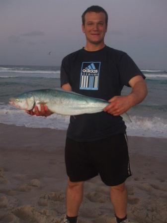 Down south Salmon Down south Salmon